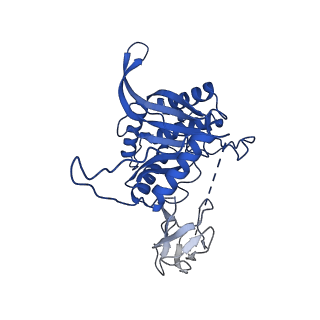 12104_7b9k_U_v1-1
Cryo-EM structure of the dihydrolipoyl transacetylase cubic core of the E. coli pyruvate dehydrogenase complex including lipoyl domains