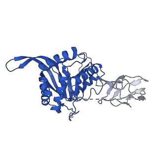 12104_7b9k_V_v1-1
Cryo-EM structure of the dihydrolipoyl transacetylase cubic core of the E. coli pyruvate dehydrogenase complex including lipoyl domains