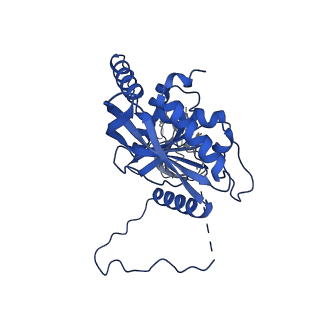 12104_7b9k_W_v1-1
Cryo-EM structure of the dihydrolipoyl transacetylase cubic core of the E. coli pyruvate dehydrogenase complex including lipoyl domains