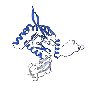 12104_7b9k_X_v1-1
Cryo-EM structure of the dihydrolipoyl transacetylase cubic core of the E. coli pyruvate dehydrogenase complex including lipoyl domains