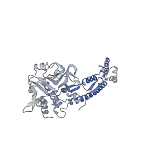12105_7b9s_2_v1-0
Structure of the mycobacterial ESX-5 Type VII Secretion System hexameric pore complex