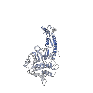 12105_7b9s_C_v1-0
Structure of the mycobacterial ESX-5 Type VII Secretion System hexameric pore complex