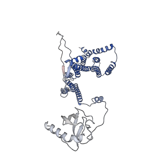 12105_7b9s_D_v1-0
Structure of the mycobacterial ESX-5 Type VII Secretion System hexameric pore complex