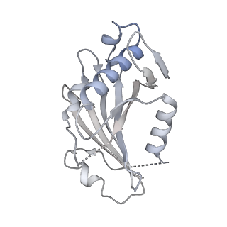 12105_7b9s_E_v1-0
Structure of the mycobacterial ESX-5 Type VII Secretion System hexameric pore complex