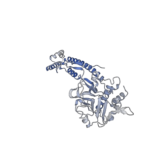 12105_7b9s_F_v1-0
Structure of the mycobacterial ESX-5 Type VII Secretion System hexameric pore complex