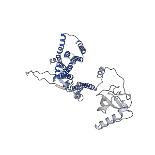 12105_7b9s_G_v1-0
Structure of the mycobacterial ESX-5 Type VII Secretion System hexameric pore complex