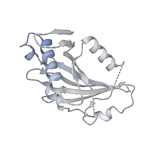 12105_7b9s_H_v1-0
Structure of the mycobacterial ESX-5 Type VII Secretion System hexameric pore complex