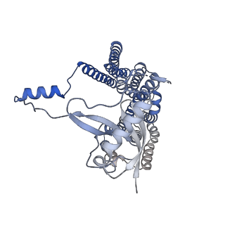 12105_7b9s_I_v1-0
Structure of the mycobacterial ESX-5 Type VII Secretion System hexameric pore complex