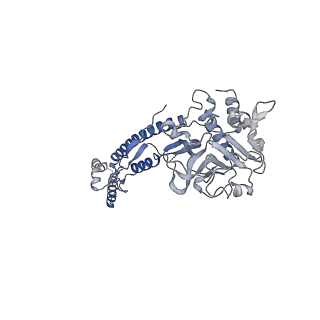 12105_7b9s_K_v1-0
Structure of the mycobacterial ESX-5 Type VII Secretion System hexameric pore complex