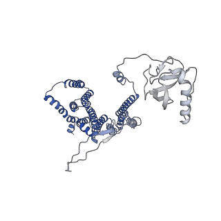 12105_7b9s_L_v1-0
Structure of the mycobacterial ESX-5 Type VII Secretion System hexameric pore complex