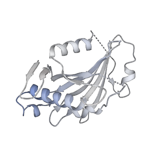 12105_7b9s_M_v1-0
Structure of the mycobacterial ESX-5 Type VII Secretion System hexameric pore complex