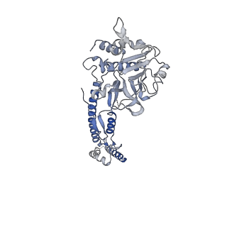12105_7b9s_P_v1-0
Structure of the mycobacterial ESX-5 Type VII Secretion System hexameric pore complex