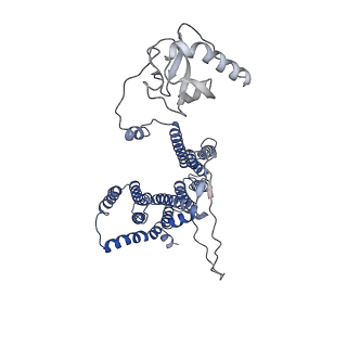 12105_7b9s_Q_v1-0
Structure of the mycobacterial ESX-5 Type VII Secretion System hexameric pore complex