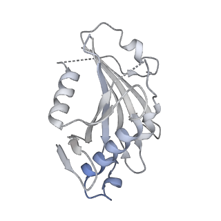 12105_7b9s_R_v1-0
Structure of the mycobacterial ESX-5 Type VII Secretion System hexameric pore complex