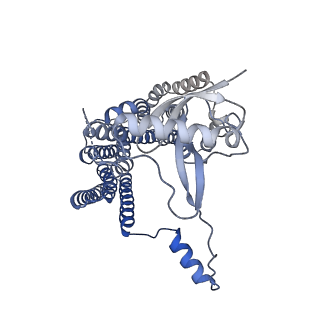 12105_7b9s_S_v1-0
Structure of the mycobacterial ESX-5 Type VII Secretion System hexameric pore complex