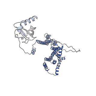 12105_7b9s_W_v1-0
Structure of the mycobacterial ESX-5 Type VII Secretion System hexameric pore complex