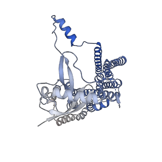 12105_7b9s_X_v1-0
Structure of the mycobacterial ESX-5 Type VII Secretion System hexameric pore complex