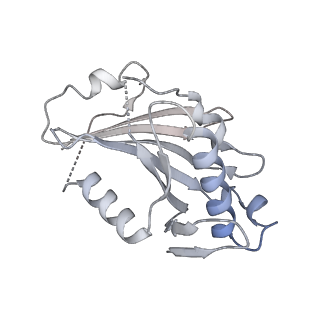 12105_7b9s_Y_v1-0
Structure of the mycobacterial ESX-5 Type VII Secretion System hexameric pore complex