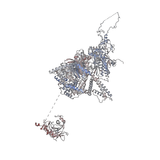 12106_7b9v_A_v1-2
Yeast C complex spliceosome at 2.8 Angstrom resolution with Prp18/Slu7 bound