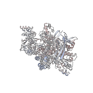 12106_7b9v_B_v1-2
Yeast C complex spliceosome at 2.8 Angstrom resolution with Prp18/Slu7 bound