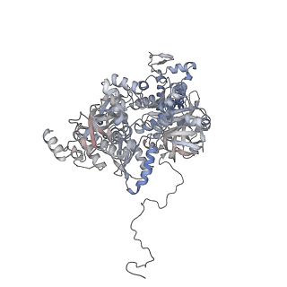 12106_7b9v_C_v1-2
Yeast C complex spliceosome at 2.8 Angstrom resolution with Prp18/Slu7 bound