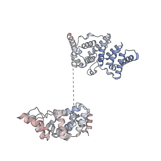 12106_7b9v_H_v1-2
Yeast C complex spliceosome at 2.8 Angstrom resolution with Prp18/Slu7 bound