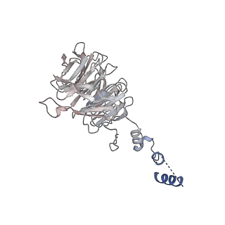 12106_7b9v_J_v1-2
Yeast C complex spliceosome at 2.8 Angstrom resolution with Prp18/Slu7 bound