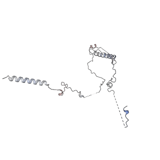 12106_7b9v_K_v1-2
Yeast C complex spliceosome at 2.8 Angstrom resolution with Prp18/Slu7 bound