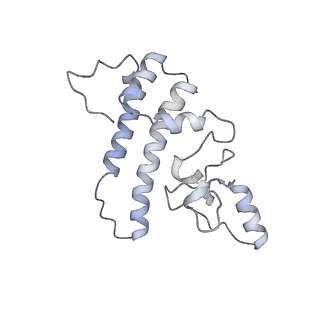 12106_7b9v_L_v1-2
Yeast C complex spliceosome at 2.8 Angstrom resolution with Prp18/Slu7 bound