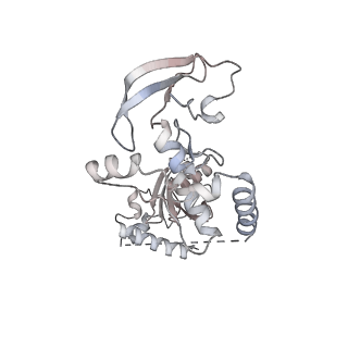 12106_7b9v_N_v1-2
Yeast C complex spliceosome at 2.8 Angstrom resolution with Prp18/Slu7 bound