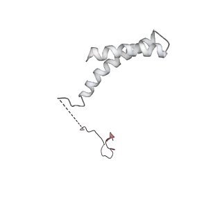 12106_7b9v_R_v1-2
Yeast C complex spliceosome at 2.8 Angstrom resolution with Prp18/Slu7 bound