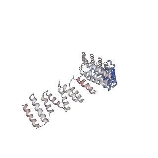 12106_7b9v_S_v1-2
Yeast C complex spliceosome at 2.8 Angstrom resolution with Prp18/Slu7 bound