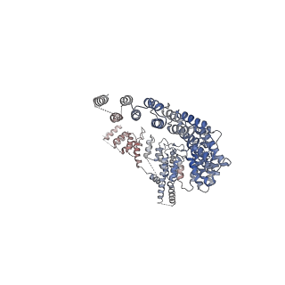 12106_7b9v_T_v1-2
Yeast C complex spliceosome at 2.8 Angstrom resolution with Prp18/Slu7 bound