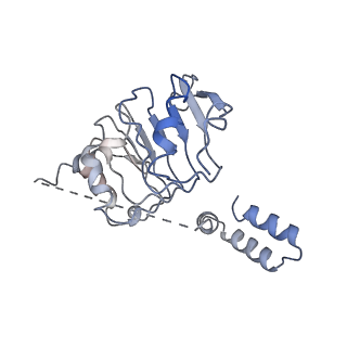 12106_7b9v_W_v1-2
Yeast C complex spliceosome at 2.8 Angstrom resolution with Prp18/Slu7 bound