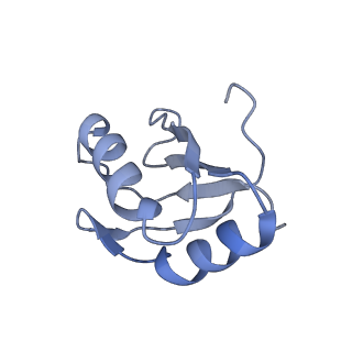 12106_7b9v_Y_v1-2
Yeast C complex spliceosome at 2.8 Angstrom resolution with Prp18/Slu7 bound