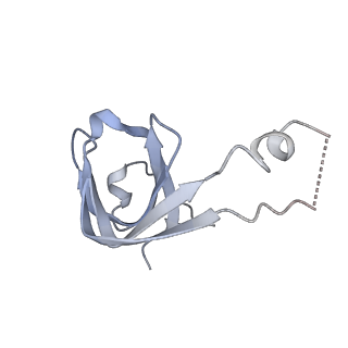 12106_7b9v_b_v1-2
Yeast C complex spliceosome at 2.8 Angstrom resolution with Prp18/Slu7 bound