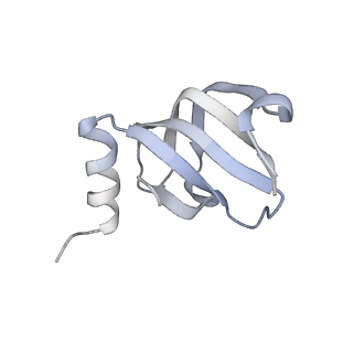 12106_7b9v_e_v1-2
Yeast C complex spliceosome at 2.8 Angstrom resolution with Prp18/Slu7 bound