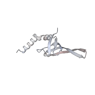 12106_7b9v_j_v1-2
Yeast C complex spliceosome at 2.8 Angstrom resolution with Prp18/Slu7 bound