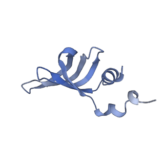 12106_7b9v_n_v1-2
Yeast C complex spliceosome at 2.8 Angstrom resolution with Prp18/Slu7 bound