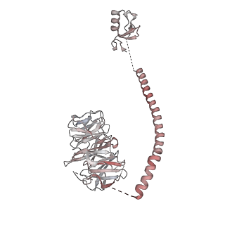 12106_7b9v_w_v1-2
Yeast C complex spliceosome at 2.8 Angstrom resolution with Prp18/Slu7 bound