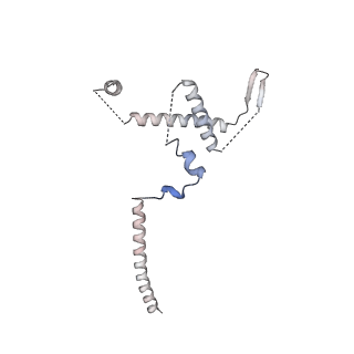 12106_7b9v_y_v1-2
Yeast C complex spliceosome at 2.8 Angstrom resolution with Prp18/Slu7 bound