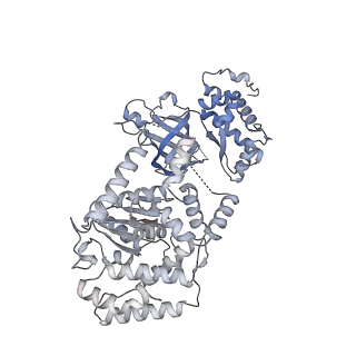15309_8b9a_2_v1-1
S. cerevisiae replisome + Ctf4, bound by pol alpha primase. Complex engaged with a fork DNA substrate containing a 60 nucleotide lagging strand.