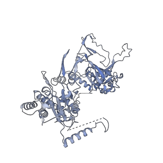 15309_8b9a_3_v1-1
S. cerevisiae replisome + Ctf4, bound by pol alpha primase. Complex engaged with a fork DNA substrate containing a 60 nucleotide lagging strand.