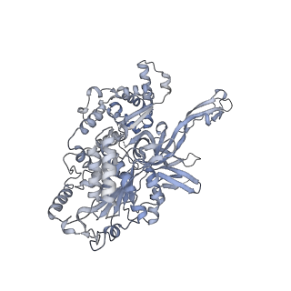 15309_8b9a_4_v1-1
S. cerevisiae replisome + Ctf4, bound by pol alpha primase. Complex engaged with a fork DNA substrate containing a 60 nucleotide lagging strand.