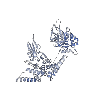 15309_8b9a_5_v1-1
S. cerevisiae replisome + Ctf4, bound by pol alpha primase. Complex engaged with a fork DNA substrate containing a 60 nucleotide lagging strand.