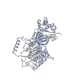 15309_8b9a_6_v1-1
S. cerevisiae replisome + Ctf4, bound by pol alpha primase. Complex engaged with a fork DNA substrate containing a 60 nucleotide lagging strand.