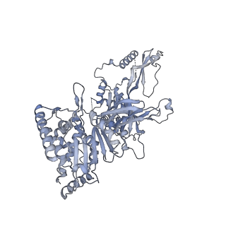15309_8b9a_7_v1-1
S. cerevisiae replisome + Ctf4, bound by pol alpha primase. Complex engaged with a fork DNA substrate containing a 60 nucleotide lagging strand.