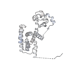 15309_8b9a_A_v1-1
S. cerevisiae replisome + Ctf4, bound by pol alpha primase. Complex engaged with a fork DNA substrate containing a 60 nucleotide lagging strand.