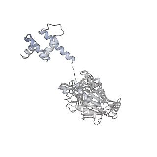 15309_8b9a_B_v1-1
S. cerevisiae replisome + Ctf4, bound by pol alpha primase. Complex engaged with a fork DNA substrate containing a 60 nucleotide lagging strand.