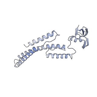 15309_8b9a_C_v1-1
S. cerevisiae replisome + Ctf4, bound by pol alpha primase. Complex engaged with a fork DNA substrate containing a 60 nucleotide lagging strand.